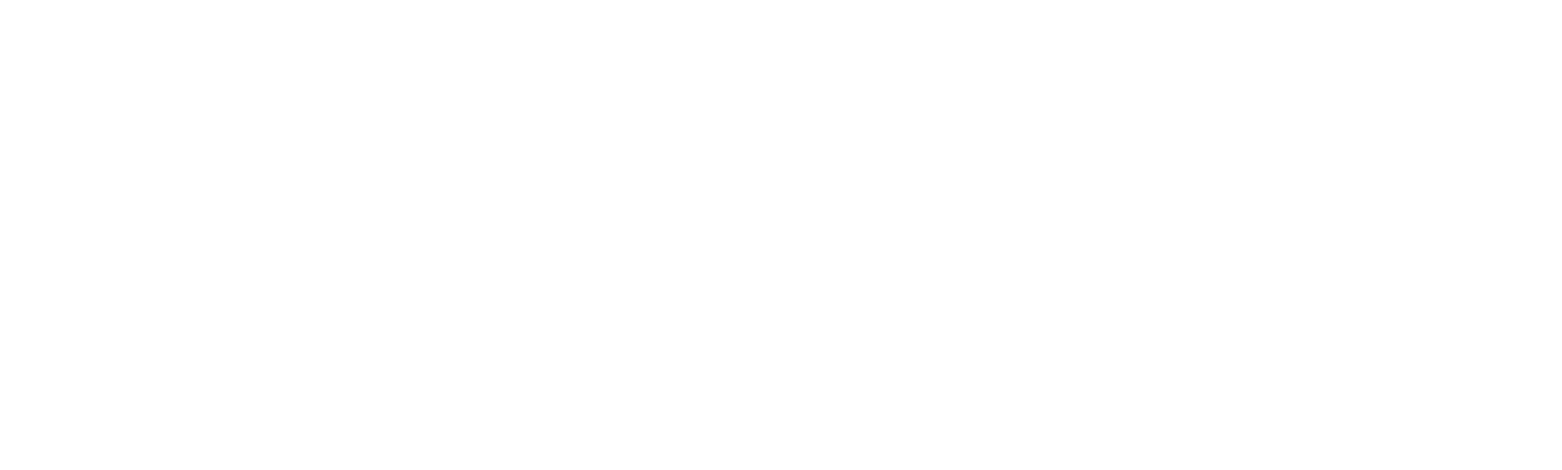Academia Shopifyers